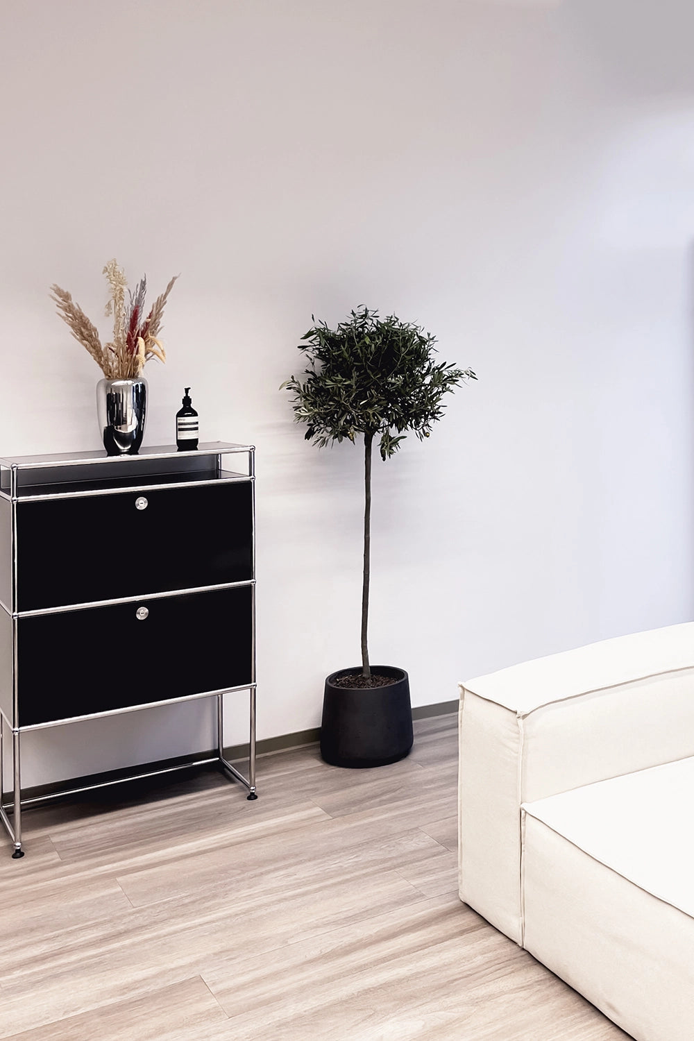 Schwarzes Regal, Topfpflanze und beiges Sofa in einem hellen Raum.