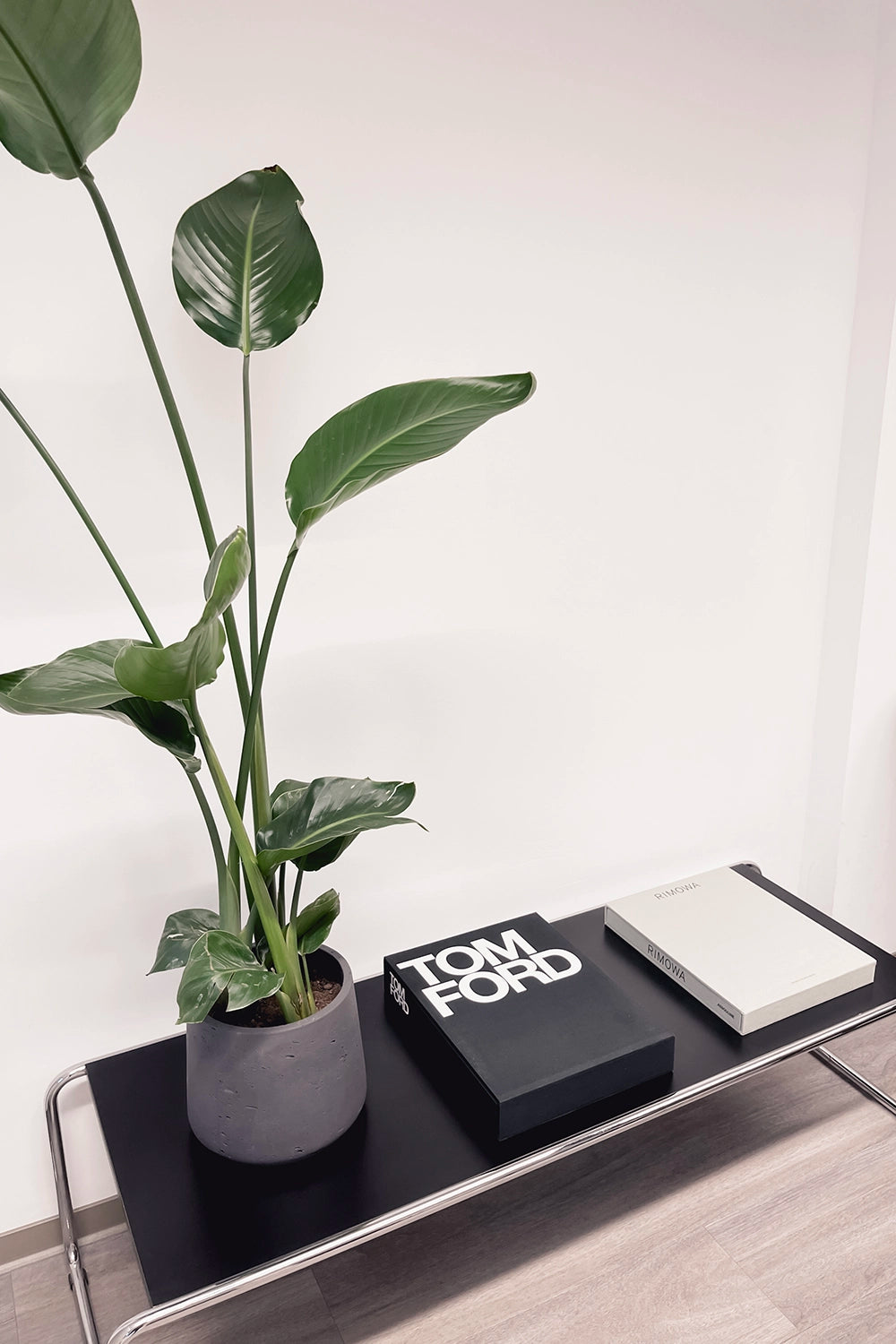 Schwarzer Tisch mit Topfpflanze und zwei Büchern, Tom Ford und Blumen.
