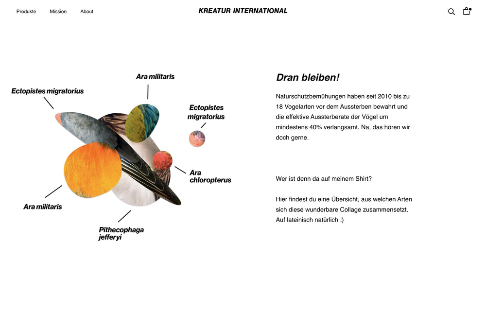 Illustration mit Vogelfedern und Artennamen. Text über Artensterben und Schutz seit 2010.