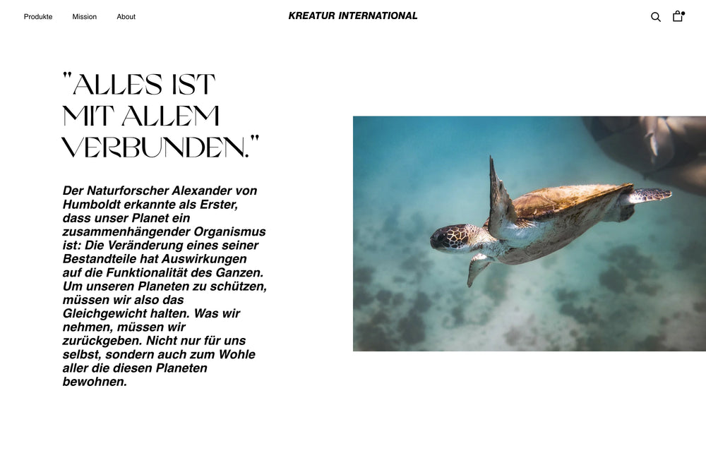 Meeresschildkröte unter Wasser. Text über den Naturforscher Humboldt und Planetenschutz.