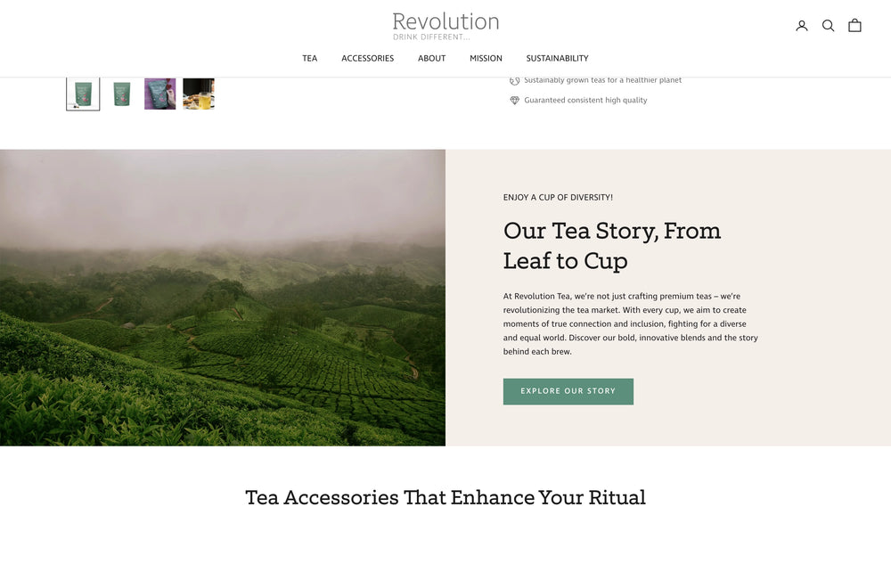 Blick auf grüne Teeplantagen mit Text über die Teeherstellung. Button zum Erkunden.