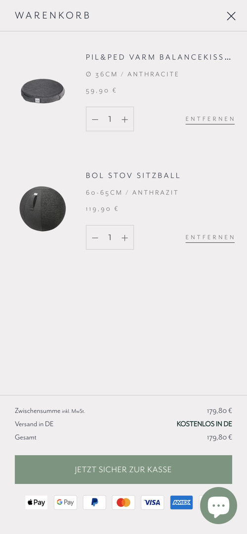Warenkorb mit Balancekissen und Sitzball, Gesamtpreis 179,80 €, Zahlungsmöglichkeiten, Kasse Button.